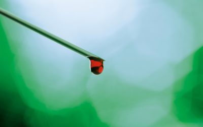 The Long Quest To Create Artificial Blood May Soon Be Over | NBC News.com