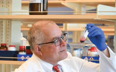 Bold New Vision on Blood Research