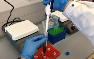 Press Release: NIH Awards KaloCyte $373K SBIR Grant to Advance Synthetic Blood Product