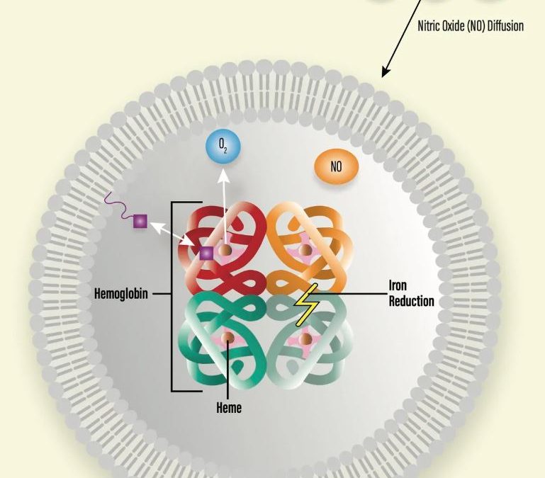 ErythroMer Featured in Drug Discovery News – December 2022/January 2023 Issue